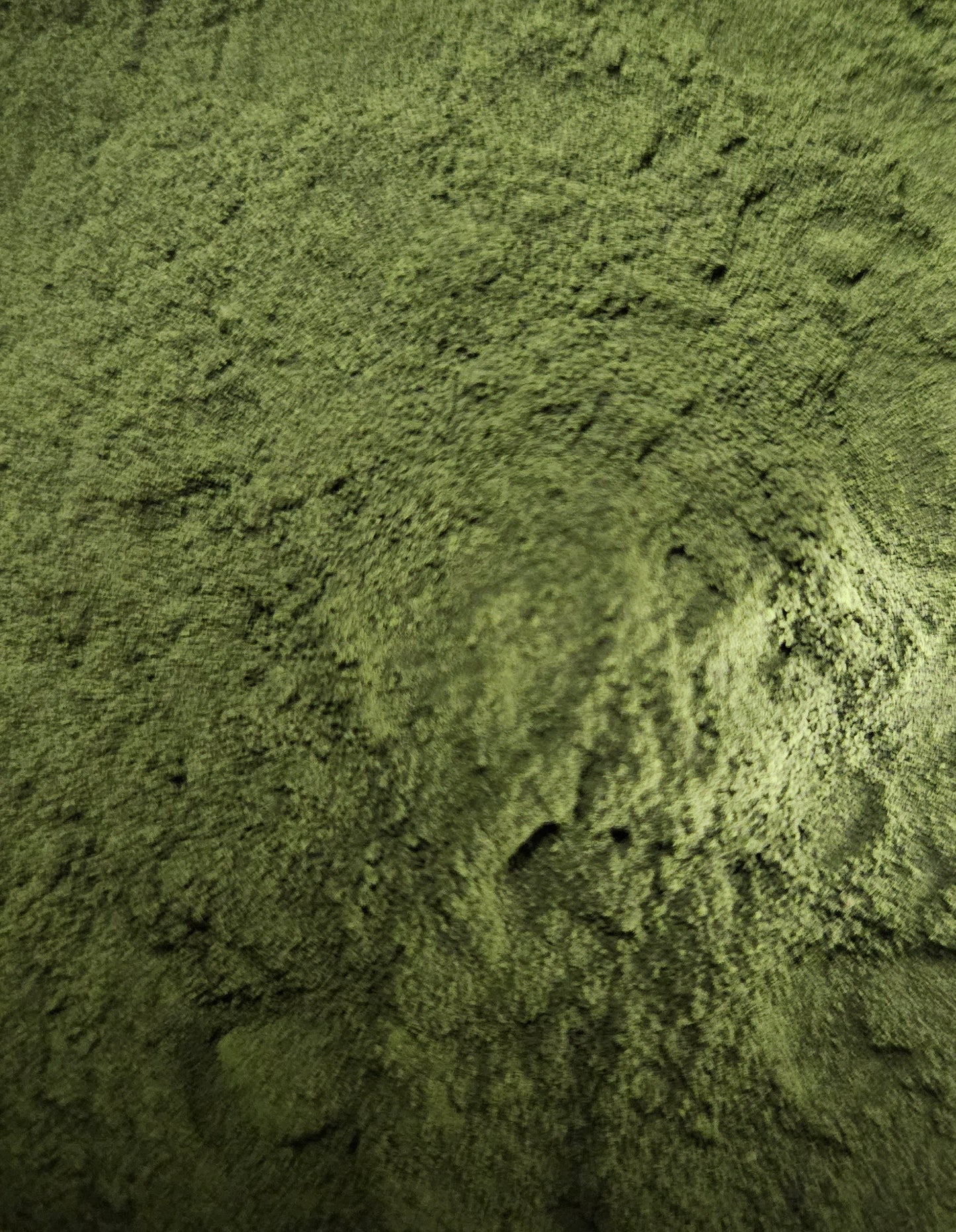 Chlorella powder