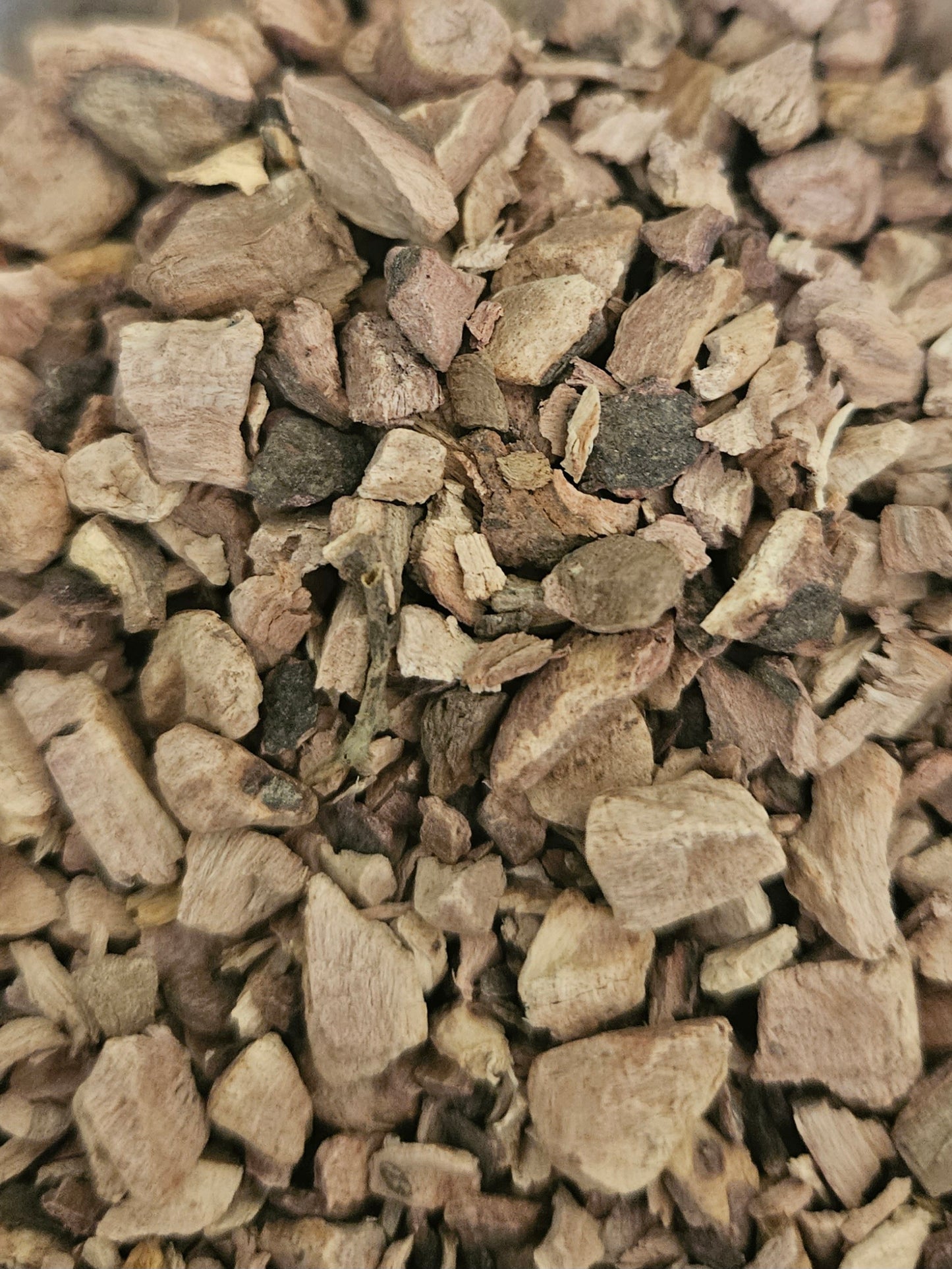 Red root