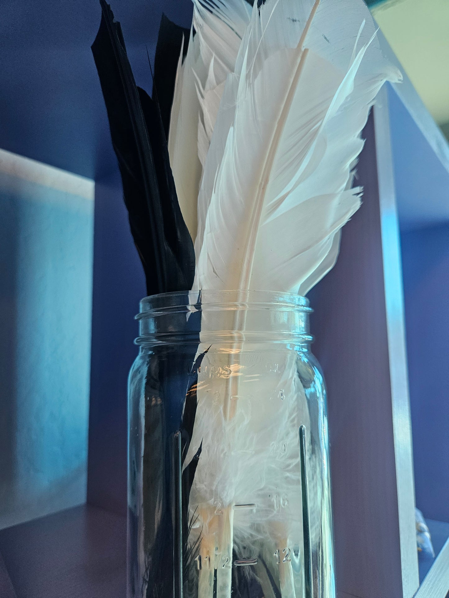 Quill Pens