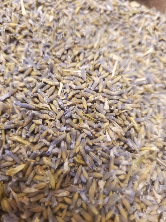 Lavender