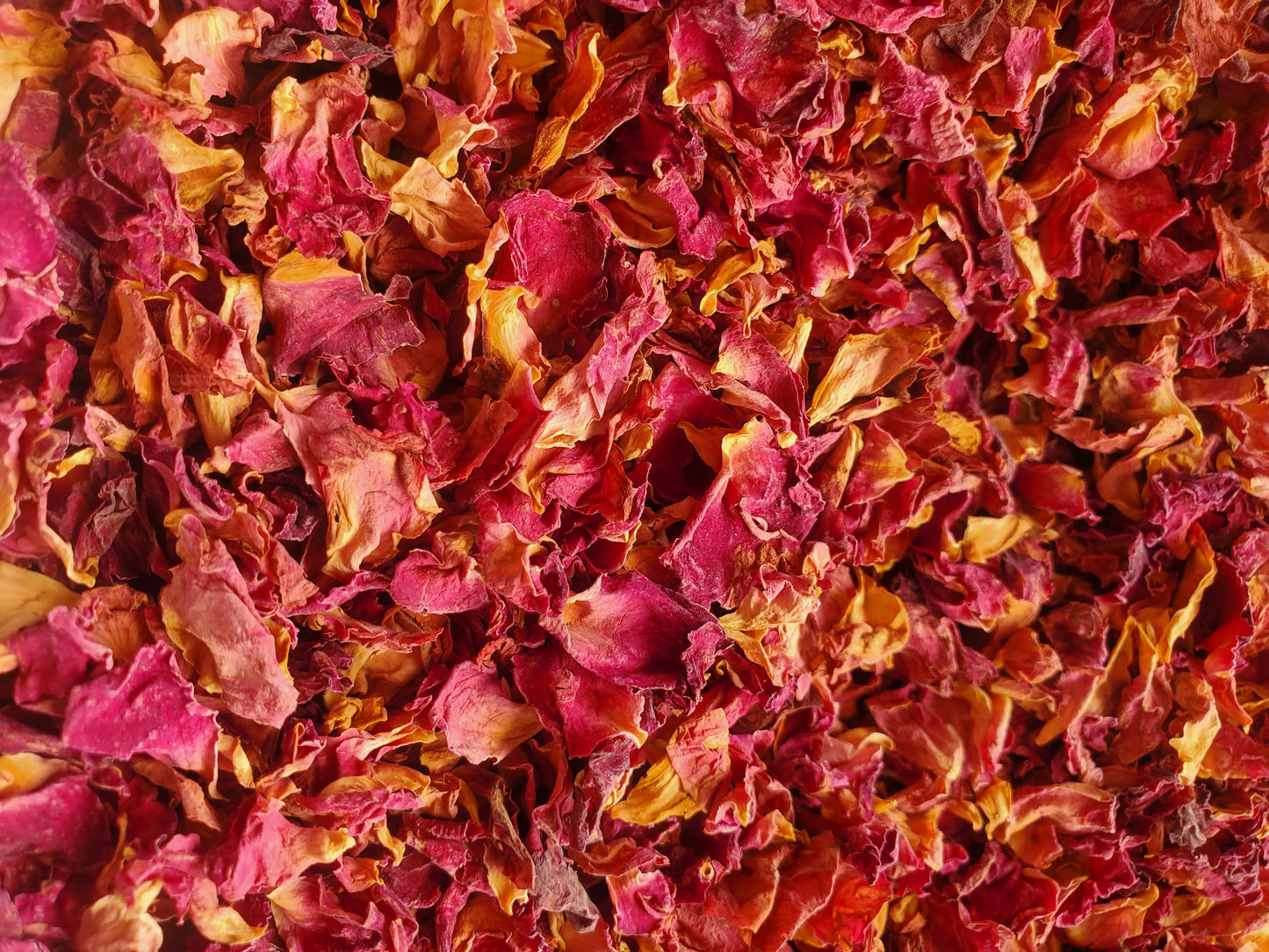 Red rose petals