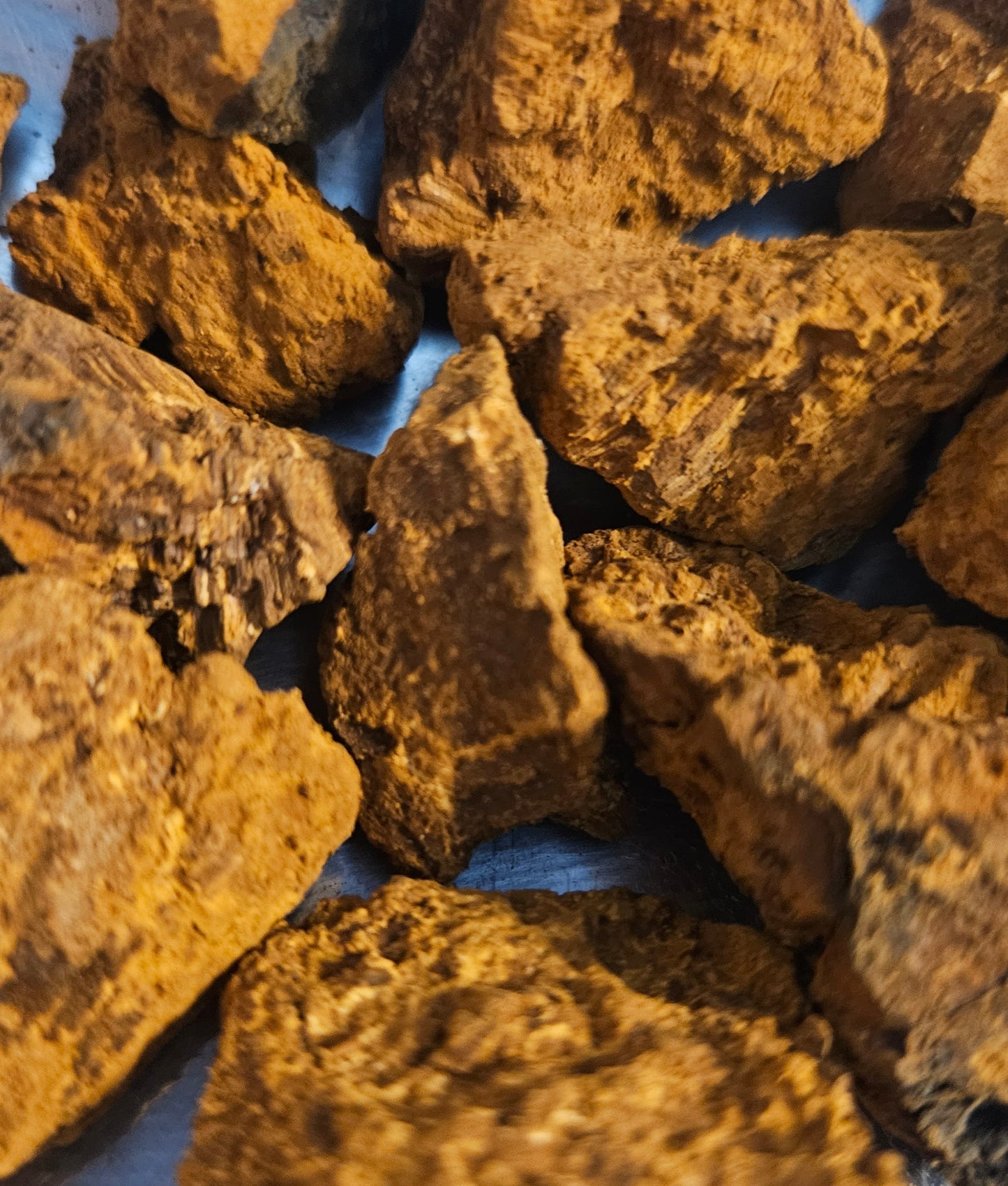 Chaga mushroom pieces