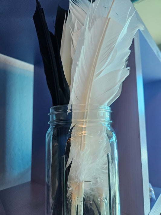 Quill Pens