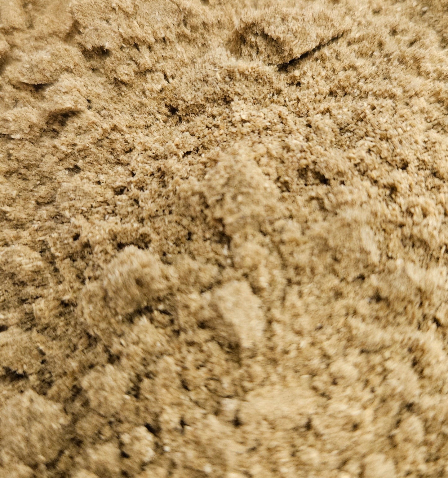 Fennel seed