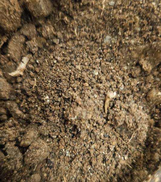 Post office dirt